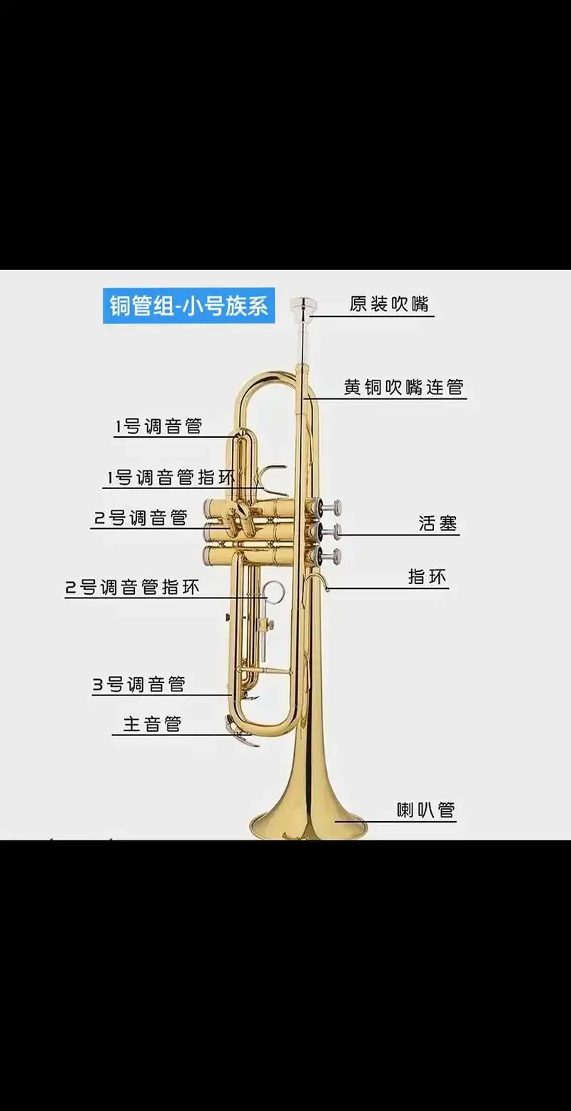 铜管组-小号族系.#小号#西洋乐器图片大全 #铜管乐器 #中 - 抖音