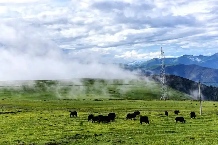 绝美风光大片318国道无愧为中国最美的景观大道