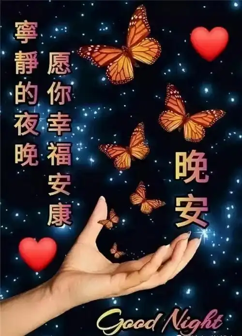 最好的牵挂,是思念;最好的思念,是问候.晚安