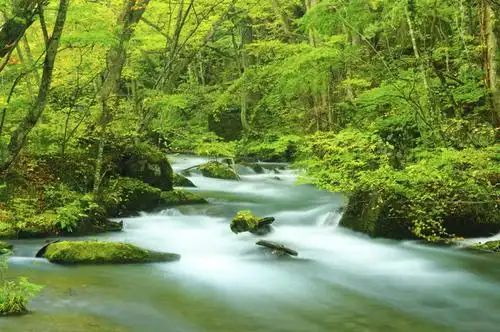 会员登录可下载 1024 无水印图片