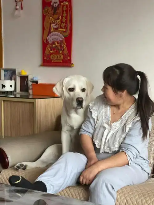 真是你妈妈的好大儿