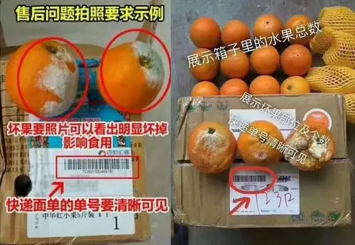 越南火龙果红心火龙果新鲜水果包邮