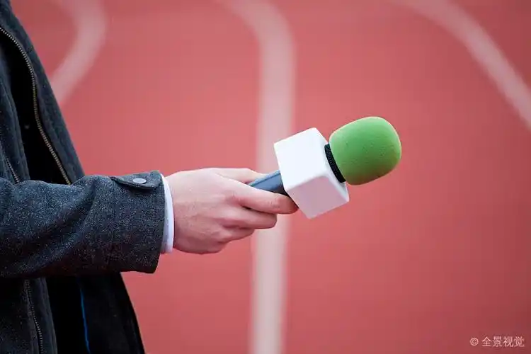 记者_拿着_麦克风_面试_高清图片_全景视觉