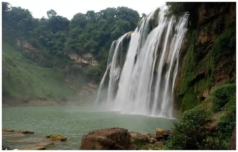 鸡猪龙财神关照菩萨显灵大喜大福注定添丁添财的3生肖
