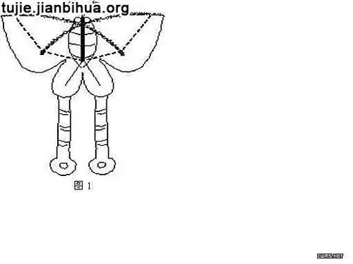 制作蝴蝶风筝的做法图解