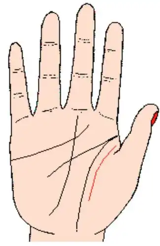 67金星丘伸出横线直达火星平原(手掌低凹处)叫烦恼线(记号a),此烦恼