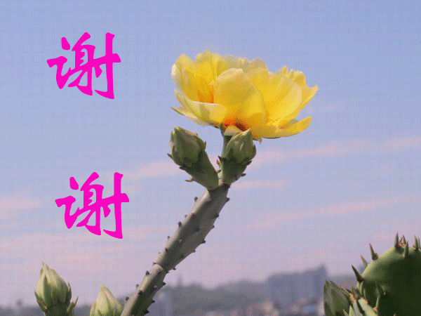 600_450gif 动态图 动图