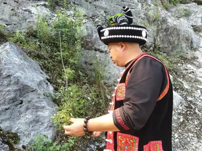 敬天爱神端午药王节土苗医采药活动暨第二届贵州土