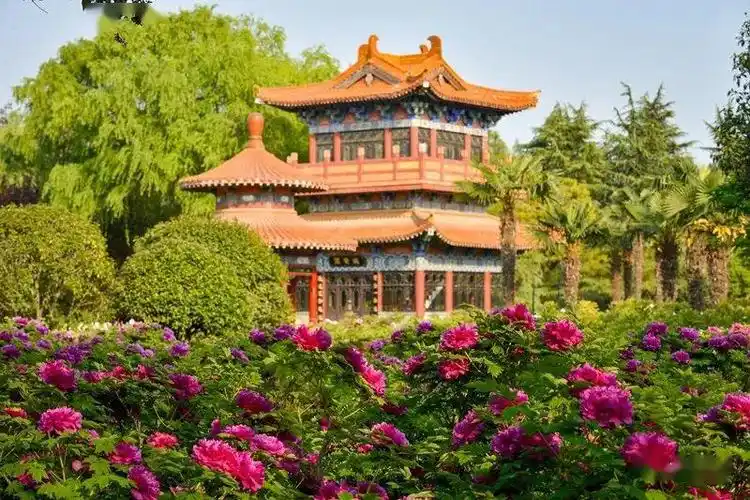 河南洛阳大唐牡丹园:智慧旅游新篇章,多业态管理重塑景区体验