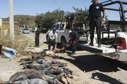 墨西哥发现11具无首残尸 或为失踪学生遗体