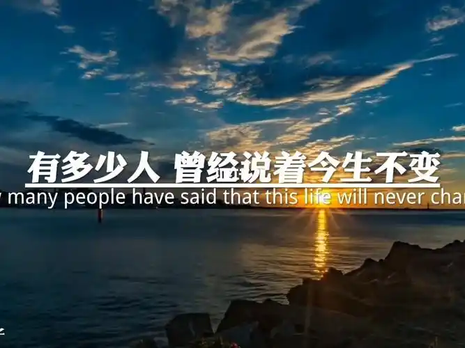 始于心甘情愿终于愿赌服输