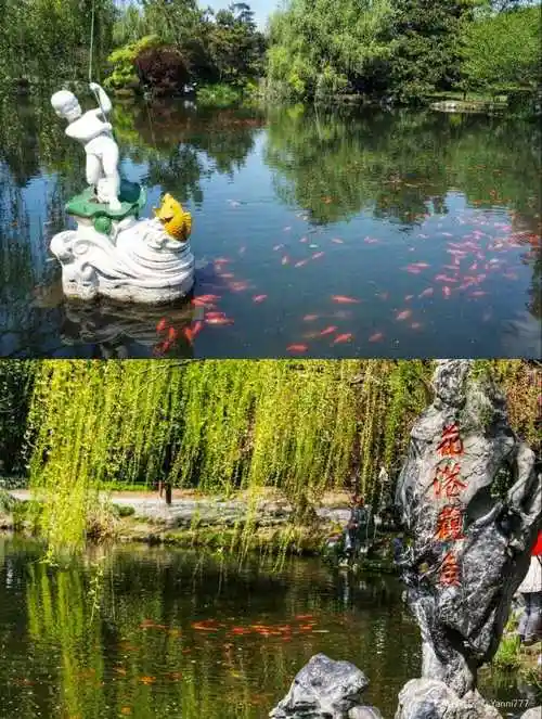 杭州西湖十景之一花港观鱼