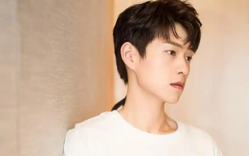 魏大勋帅气高清电脑桌面壁纸图片