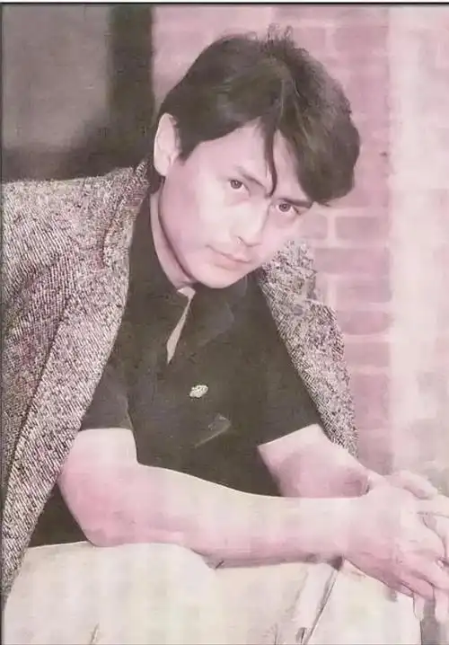 在过去的岁月里,有一些台湾男演员以其独特的魅力和出色的演技,成为了