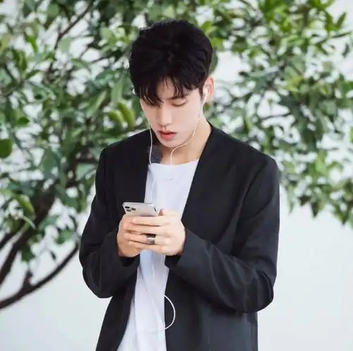 微信头像王子异