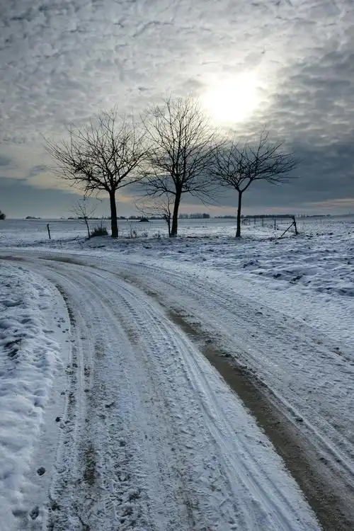 冬天 霜 冷 雪 冻结 雪白的 树 路 雪覆盖 十二月 1 月 仙境 圣诞节