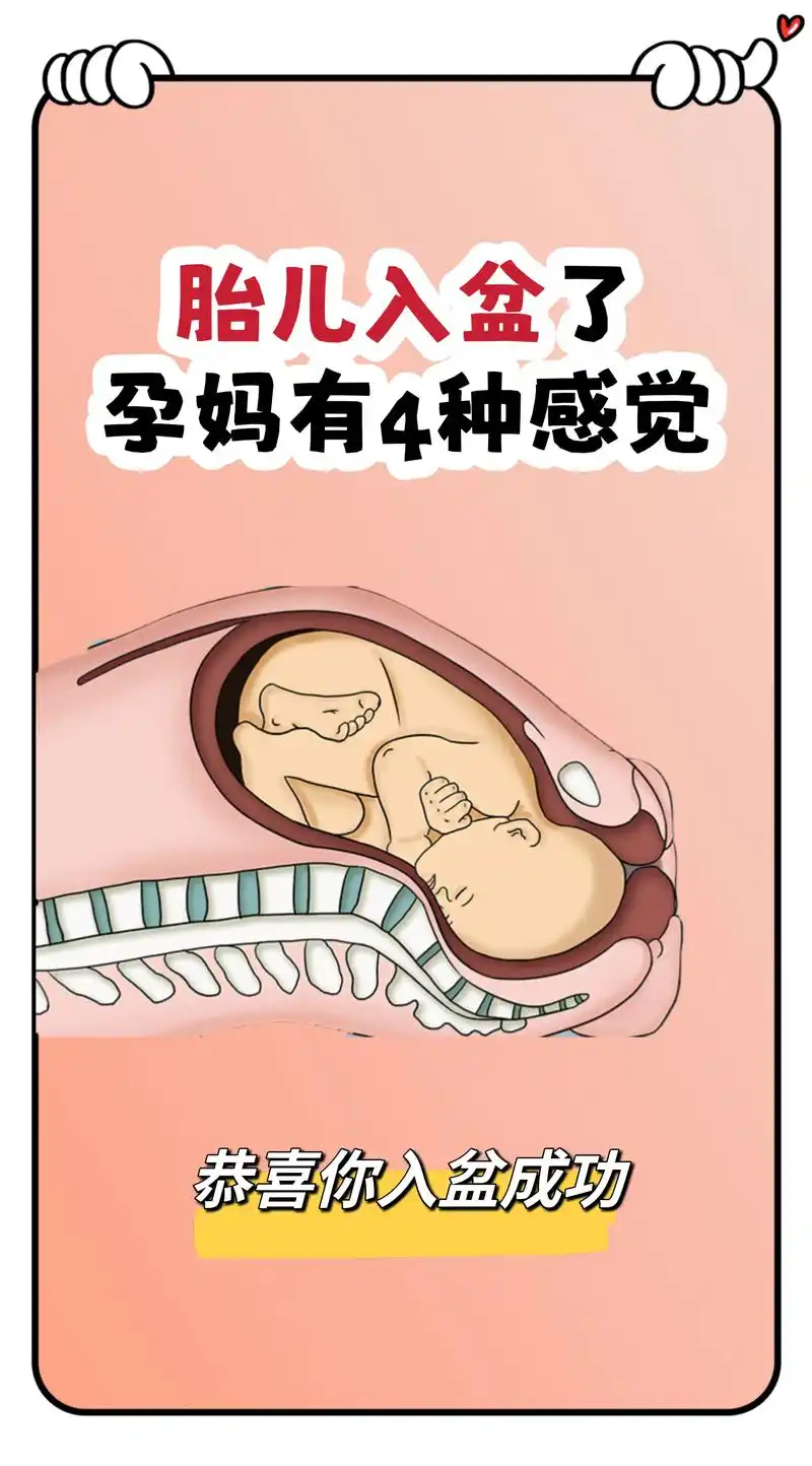 胎儿入盆了孕妈会有这4种感觉