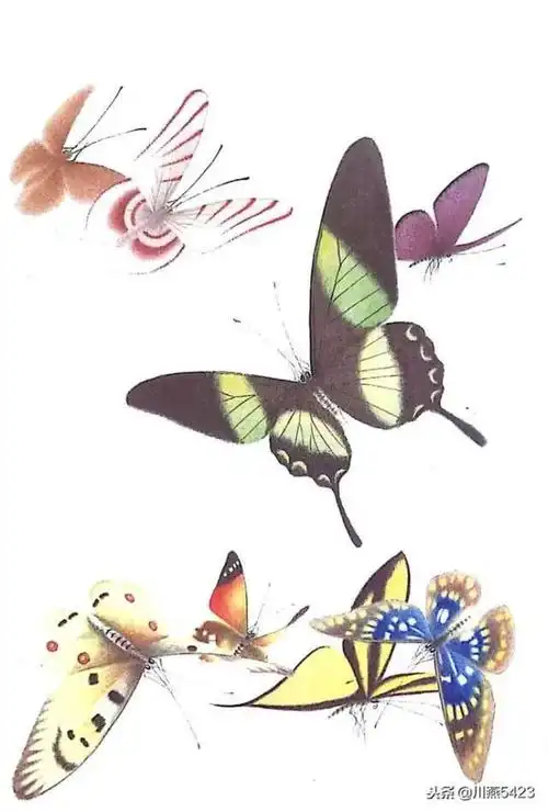 素材| 一组漂亮的蝴蝶工笔素材44图 请收藏