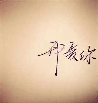 一辈子只够爱一个人