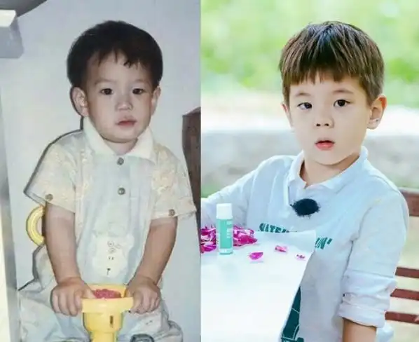 杜江霍思燕女儿曝光 网友:大小嗯哼兄妹俩神撞脸胡一统!