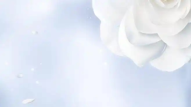 化妆品淡雅淡雅背景简约大气化妆品banner渐变色花朵柔和化妆品背景