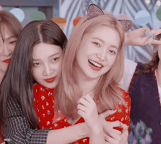 600_535gif 动态图 动图