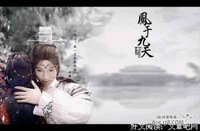 凤于九天经典观后感有感