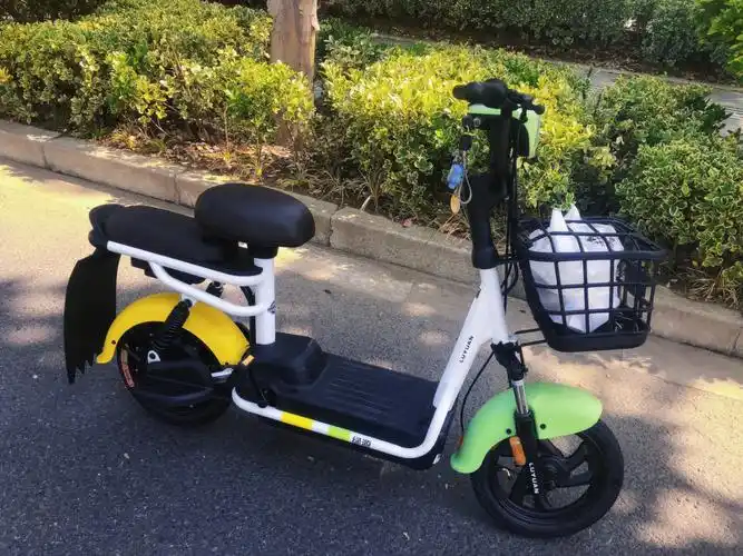 炫彩果绿色真的爱了绿源电动车