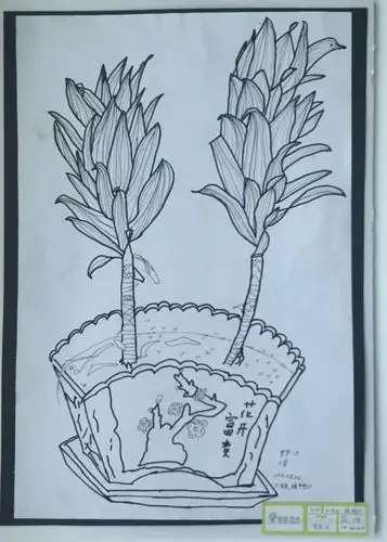 2《写生·盆栽》罗华汉11岁