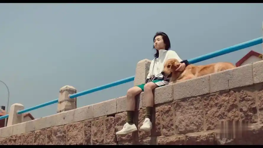 宠爱张子枫x吴磊今天吃点糖不做柠檬精