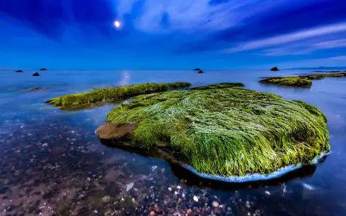 水中绿色小岛图片