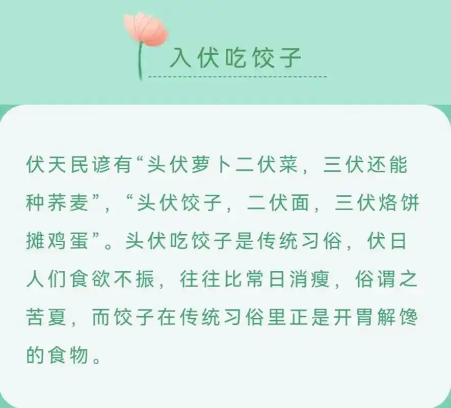俗话说:头初饺子二伏面,今天是头伏,吃饺子了,猪肉韭菜馅饺子 - 抖音