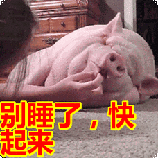 别睡了,快起来表情包动态gif表情图片 - 找表情上表情家
