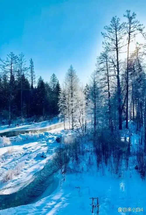 长白山赏雪景——一片银装素裹,仿佛置身于童话世界.
