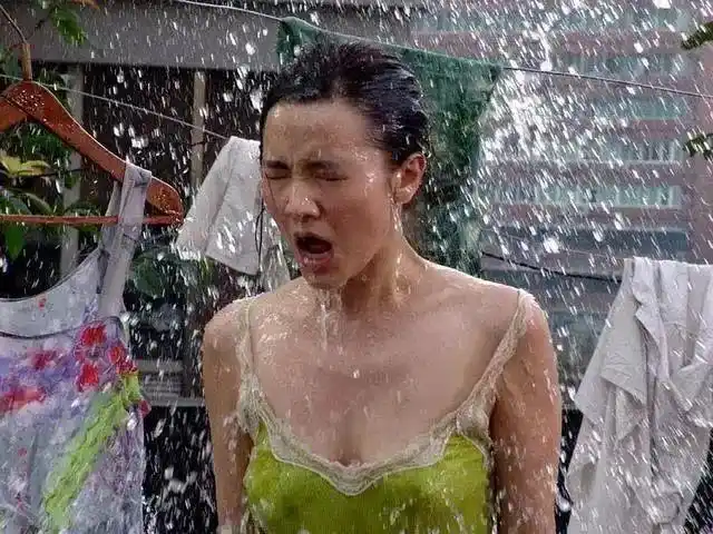 疯狂小舍得宝藏小宋佳