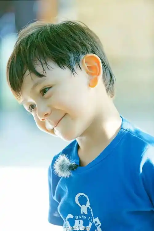 刘诺一刘烨的儿子和西西里的美丽传说男主角好像啊