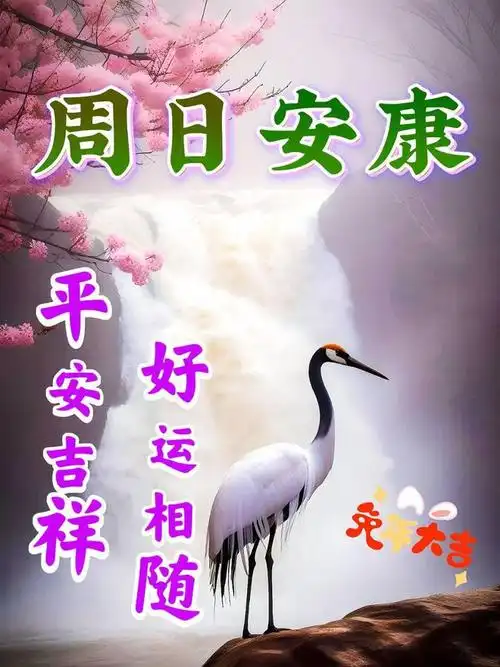 2023年8月6日夏日早安祝福精选图片大全健康幸福永吉祥早上好