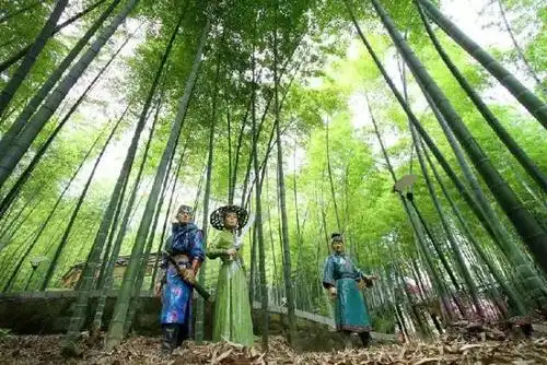 特惠路线卧虎藏龙十面埋伏这里有一片网红竹海