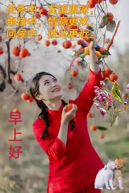 请欣赏早上好慰问精选图片