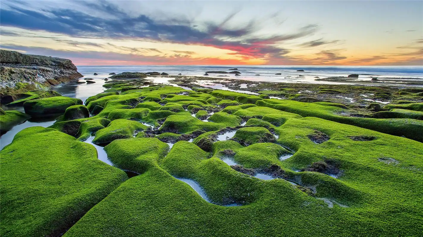 秀丽护眼风景高清桌面壁纸