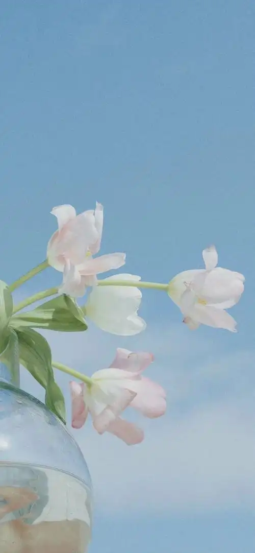 快手最火手机壁纸丨跟着大哥混三天饿九顿