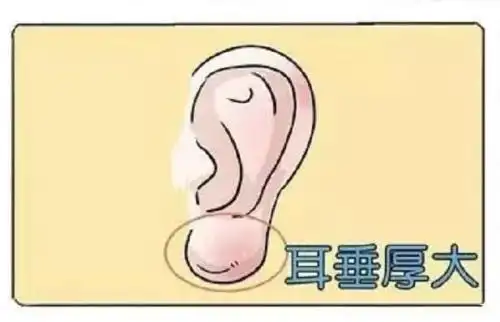 古人面相学: 耳大为福? 那无耳垂者一定福泽不深厚吗?