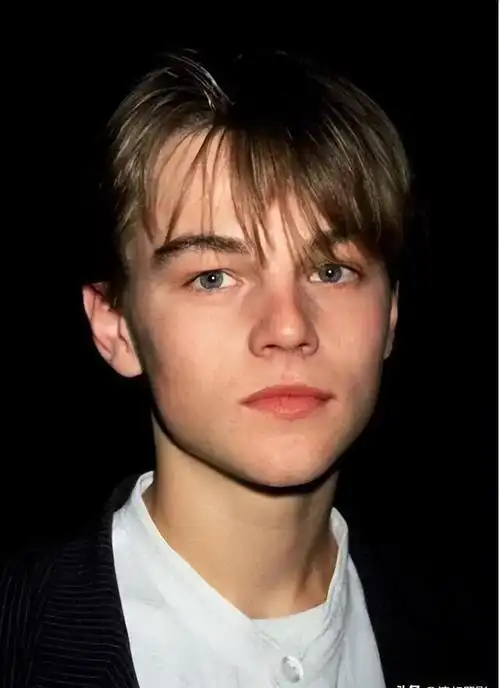 当我们看到莱昂纳多进入中年阶段时,他似乎未能避免人们常说的"中年