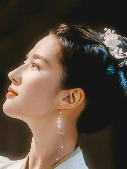 《梦华录》痴痴的看神仙姐姐的侧颜_刘亦菲_妤悦医疗美容攻略_摄影