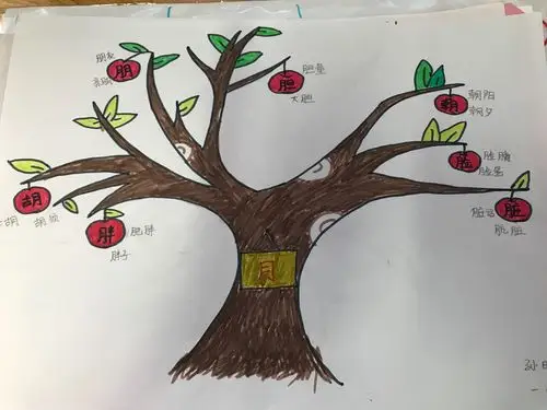 思维导图第二次汇报