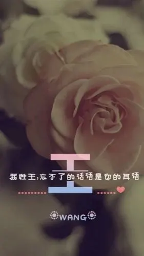 百家姓王姓锁屏,高清图片,手机锁屏桌面-壁纸族