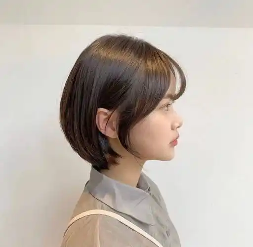 那么拥有顺滑服帖的轮廓 以及温柔知性气息的韩系短发 更是不少女生的