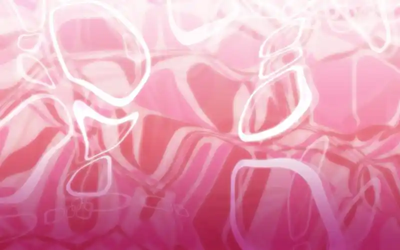 缤纷粉色系宽屏桌面壁纸第一辑