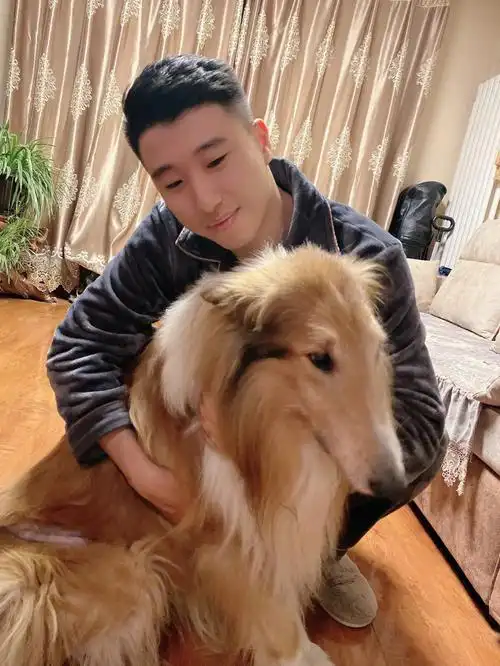 养了十三年的狗竟然跟我老公这么好