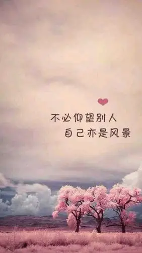 很适合做聊天背景哦